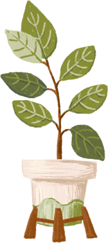 Potted plants bundle, house plants. png