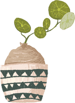 Potted plants bundle, house plants. png
