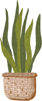 Potted plants bundle, house plants. png