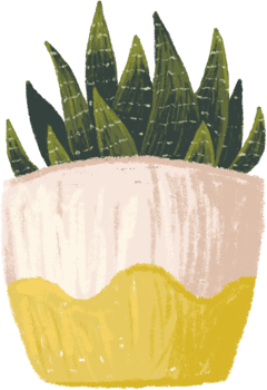 Potted plants bundle, house plants. png