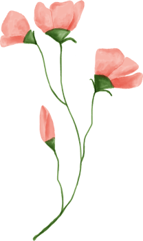 Pink flower leaves floral watercolor for decoration png