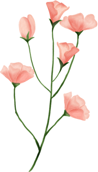 Pink flower leaves floral watercolor for decoration png