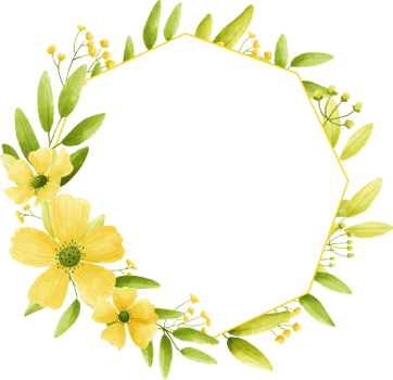 Circle frame yellow flower floral watercolor with gold circle. png