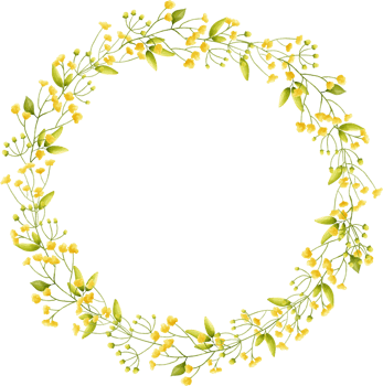 Circle frame yellow flower floral watercolor with gold circle. png