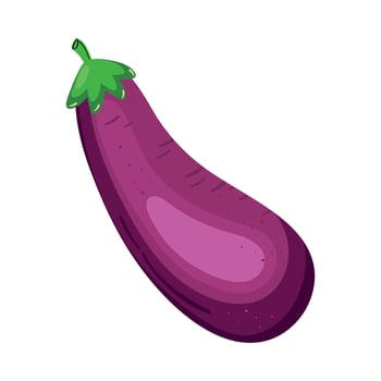 fresh eggplant vegetable vector
