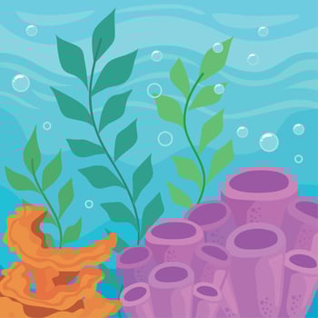 alages and orange coral vector