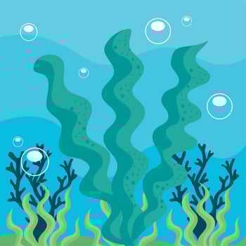 green algaes coral reef vector