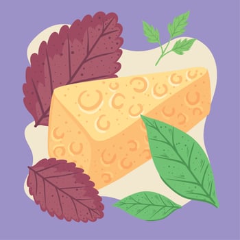 cheese with leafs vector