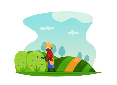 Flat farmer harvest fruit farm on the hill field. Farmer flat illustration vector