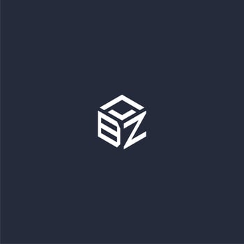 BZ initial hexagon logo design vector