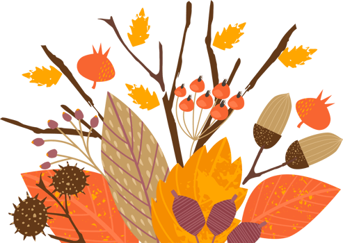 Autumn bouquet. Isolated illustration. png