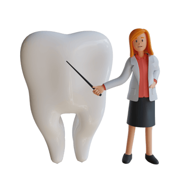 3d female doctor explaining the parts of the teeth character illustration png