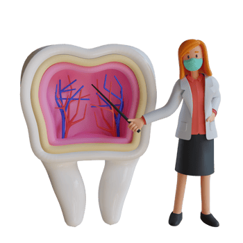 3d female doctor wearing a mask presenting the inside of the tooth character design illustration png