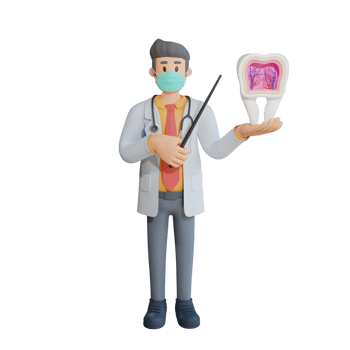 3d male doctor wearing a mask presenting the inside of the tooth character design illustration png