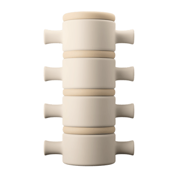 human spine bone structure anatomy 3d icon illustration png