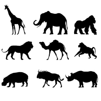 Animal silhouette set Vector image