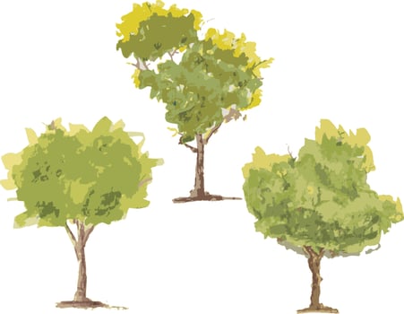 Vector hand drawn tree watercolor illustration