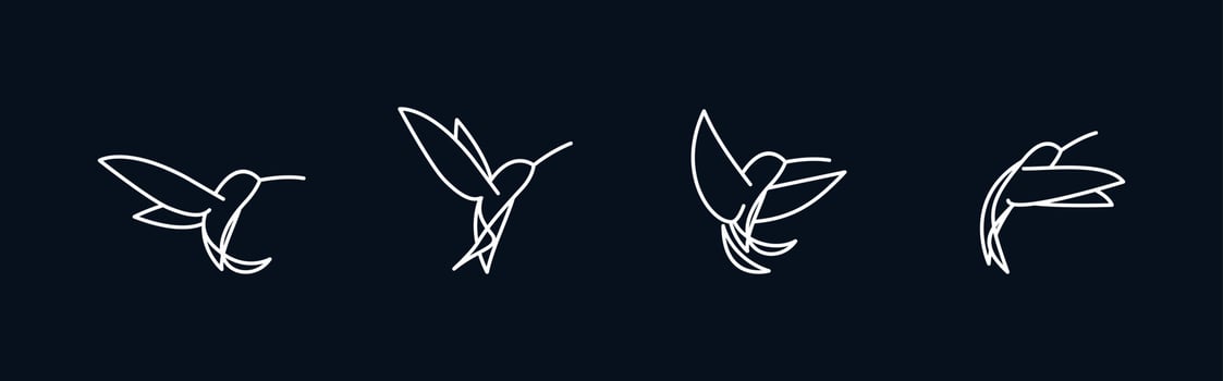 Colibri bird 4 combinations. line abstract hummingbird vector