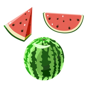 Watermelon whole and sliced vector