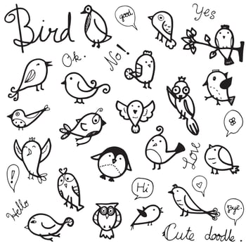 Bird doodle design element vector