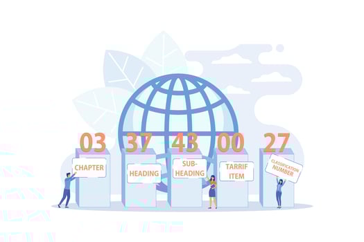 Numbers meaning explanation. Harmonized system classification, HTS code classification service, international trading goods classification concept. flat vector modern illustration