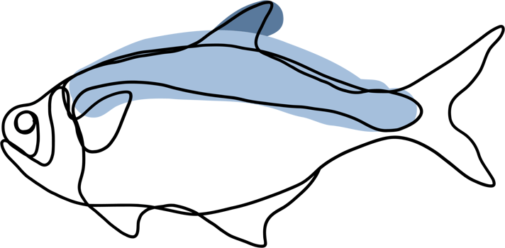 doodle freehand sketch continuous line freehand drawing of fish. png