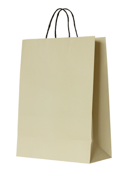 brown paper bag isolated with clipping path for mockup png