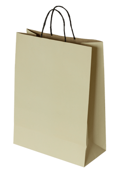 brown paper bag isolated with clipping path for mockup png