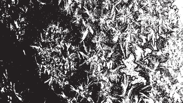 Black And White Distress Background. Grunge Overlay Texture. Dust Grain Texture on White Background. Abstract Designs And Shapes. Old Worn Vintage Pattern. Monochrome Background. Grit Texture. vector