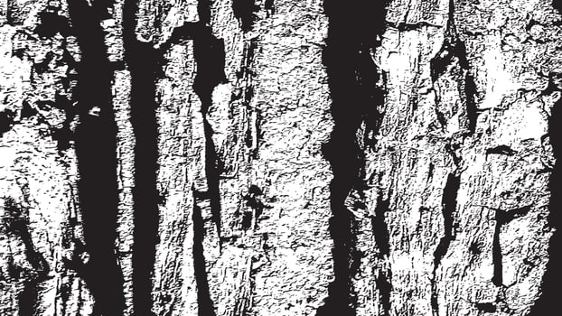 Black And White Distress Background. Grunge Overlay Texture. Dust Grain Texture on White Background. Abstract Designs And Shapes. Old Worn Vintage Pattern. Monochrome Background. Grit Texture. vector