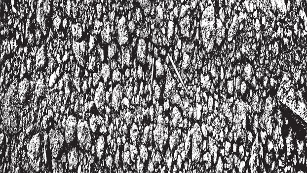 Black and White Distress Overlay Texture. Old Aged Vintage Background. vector