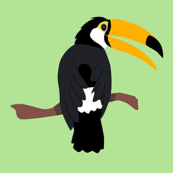 Toucan bird on a branch in flat technique vector