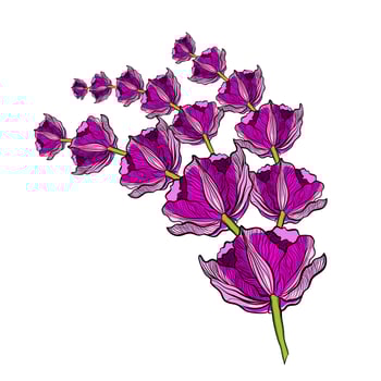 Bouquet of pink flowers vector