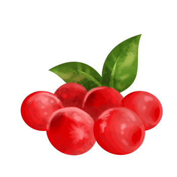 cranberry fruit cartoon png