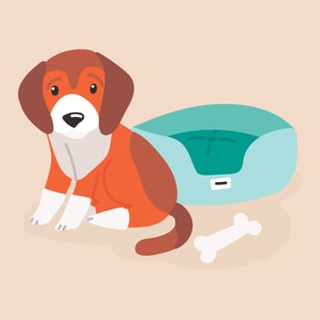 Cute Puppy Dog vector