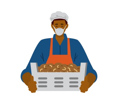 Bug farm. African american man in mask and gloves holding box with yellow mealworms vector illustration isolated on white. Edible insects.