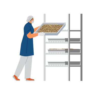 Bug farm vector illustration. Woman in mask and gloves holding tray with black soldier fly larvae. Edible insects as food of the future.