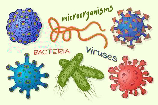 Pathogenic virus,germs, microorganisms,microbe isolated on light background.Collection of colored cartoon viruses and bacteria with bright multicolored text.Vector flat illustration. vector