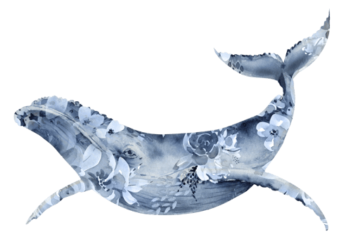 watercolor illustration of a large blue whale with a floral print. hand painted . png