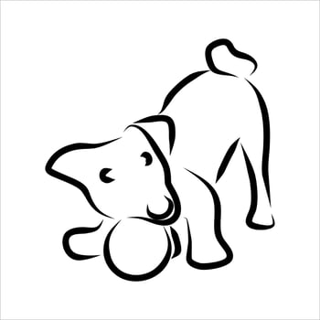 Line drawing of dog vector