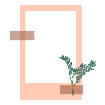Aesthetic Pink Frame with Floral png
