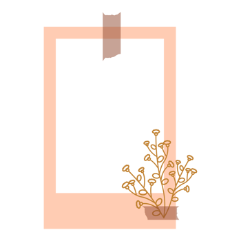Aesthetic Pink Frame with Floral png
