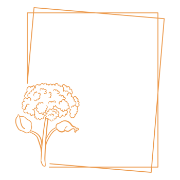 Minimalist Floral Frame png