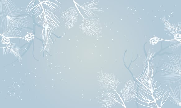 Winter bright background. Christmas landscape with snowdrifts and pine branches in the frost. vector