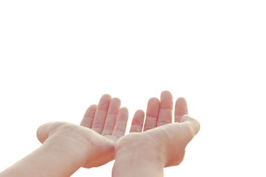 hand hold isolated on white background png