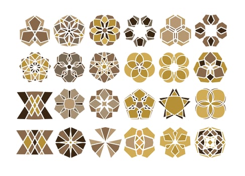 Geometric and Hand Drawing Ornaments with Tribal Shape. Flowers ornament set. Vector pictogram. Arabesque ornaments design. Line art vector.