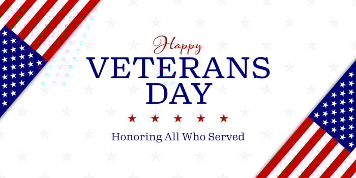 Veterans day with American flag, modern design vector