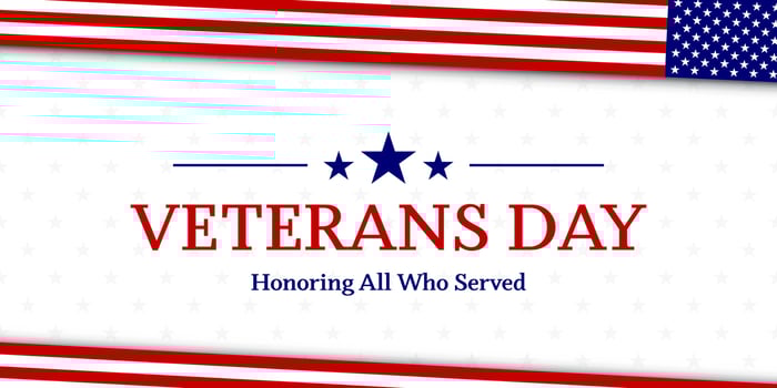 Veterans day with American flag, modern design vector