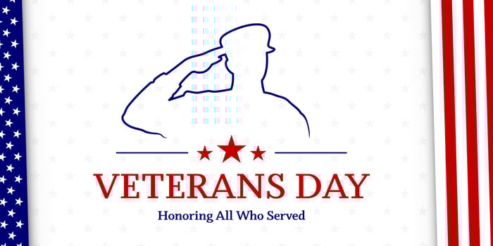 Veterans day with American flag, modern design vector