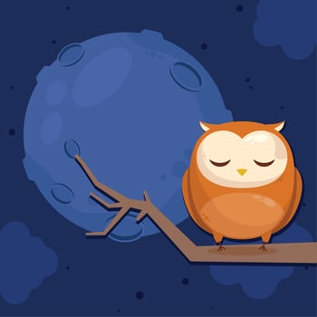 owl sleeping night scene vector
